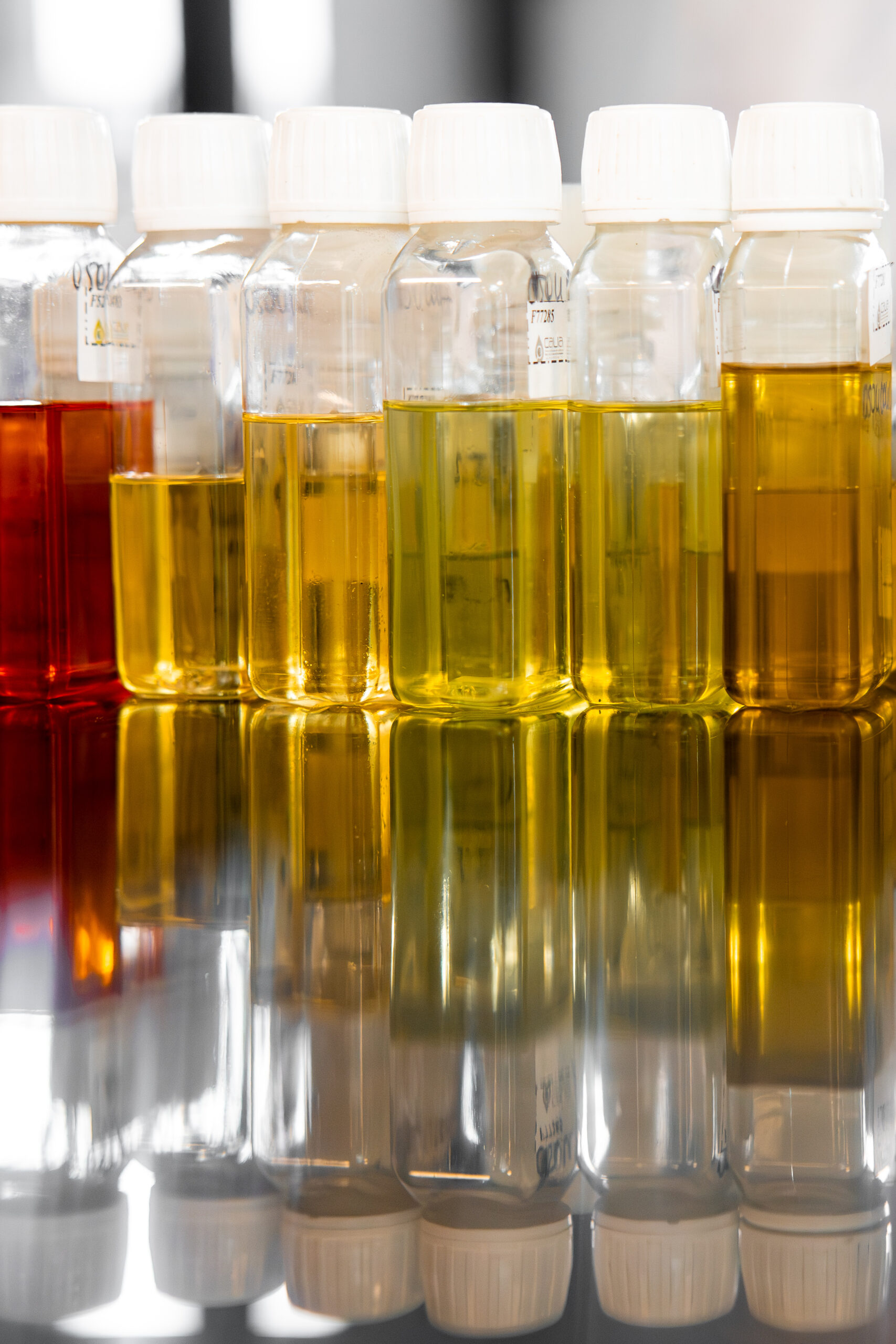 Flacons transparents remplis de liquides jaunes et rouges alignés en laboratoire