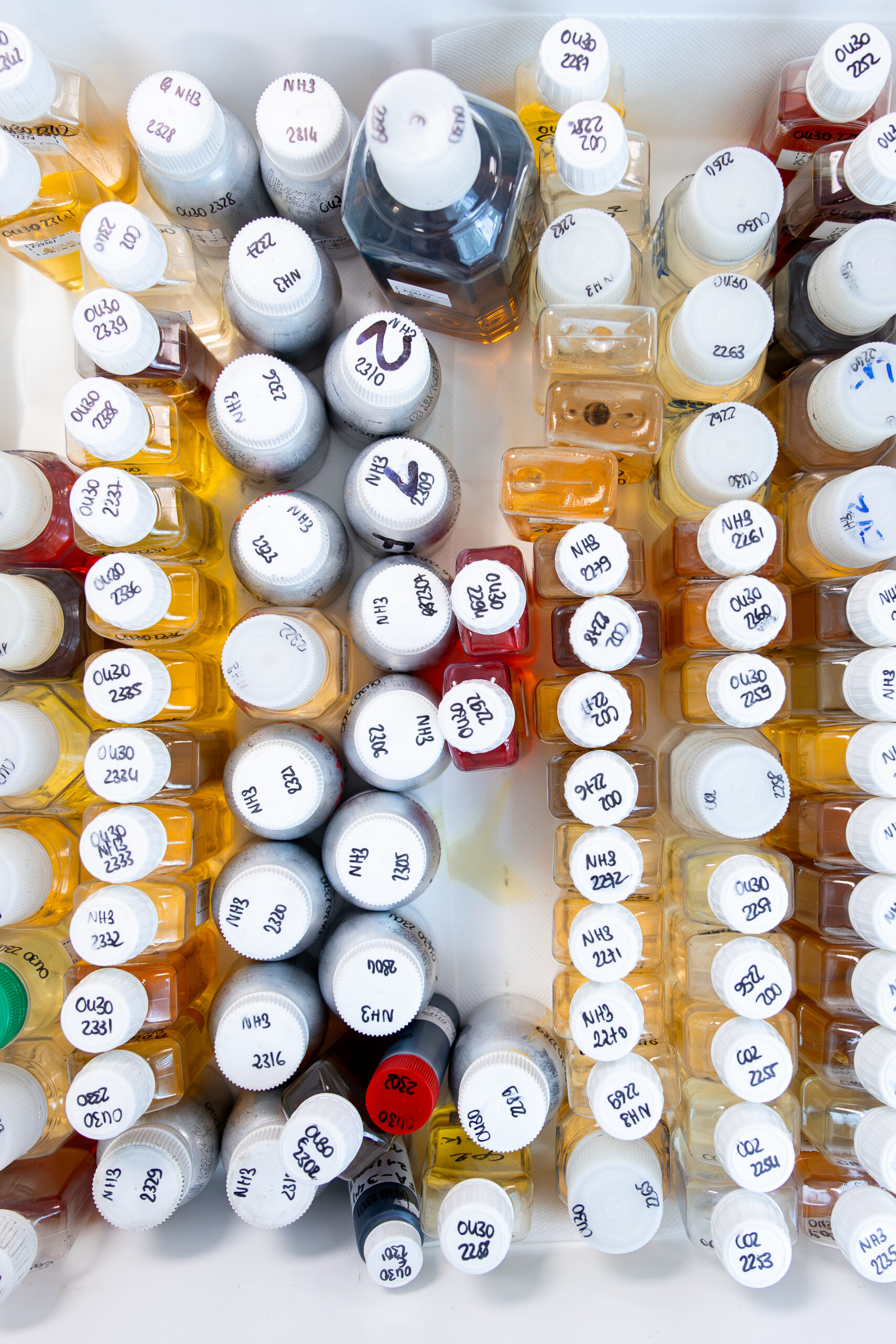 Vue de dessus de nombreux flacons d’échantillons liquides, étiquetés à la main et disposés dans un bac de laboratoire